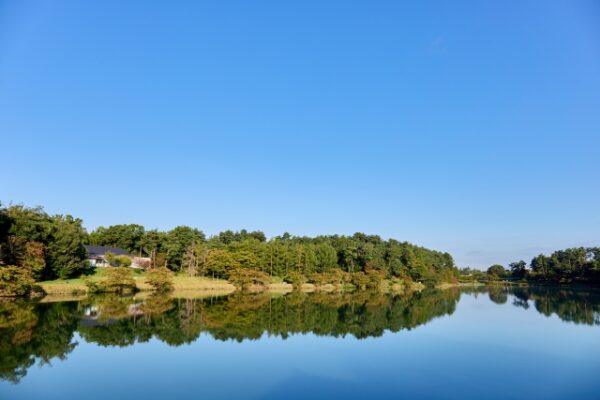上高地の明神池