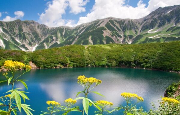 立山黒部のみくりが池