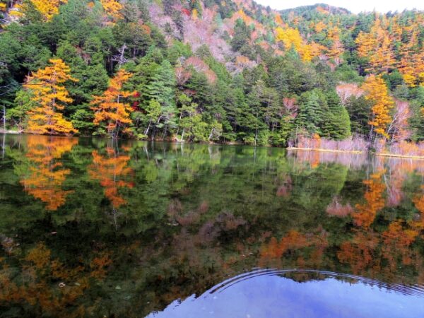 穂高神社奥宮の明神池紅葉