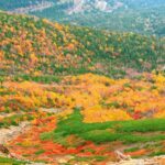 乗鞍高原の紅葉風景