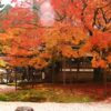 九年庵の紅葉