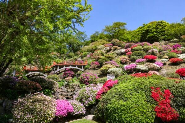 佐賀県鹿島市の祐徳稲荷神社とつつじ