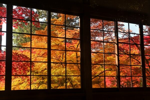 大興善寺の契園からの紅葉絶景