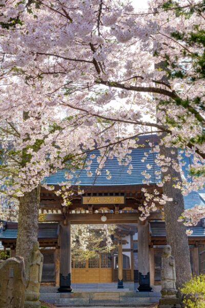 青柳家の薬医門