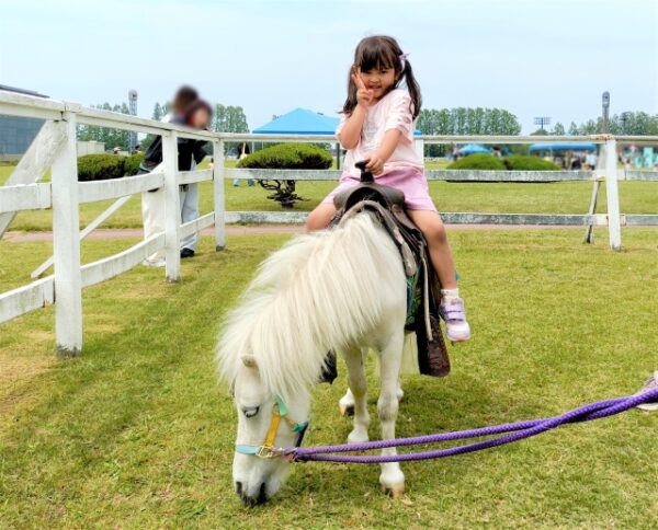 ポニーに乗る女の子