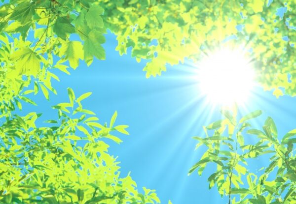 夏の太陽をイメージした画像