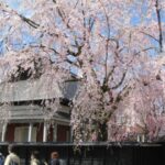 秋田県の角館武家屋敷の青柳家の画像