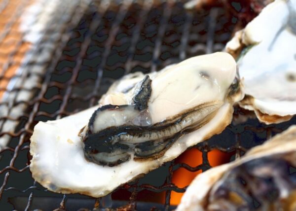 糸島市の名物、牡蠣の網焼き