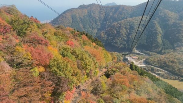 別府ロープウェイからの紅葉風景