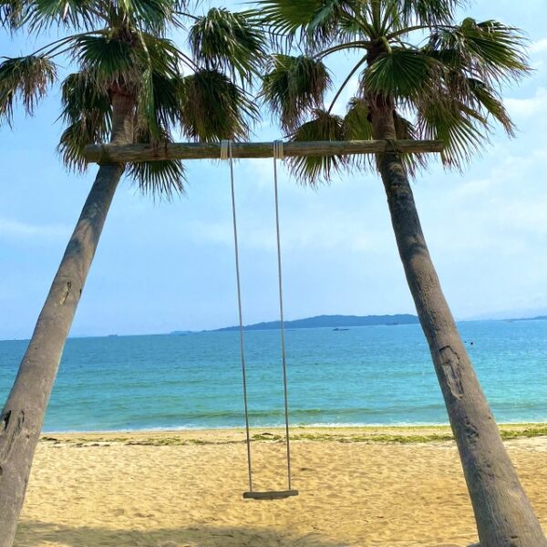 糸島市にあるヤシの木ブランコ