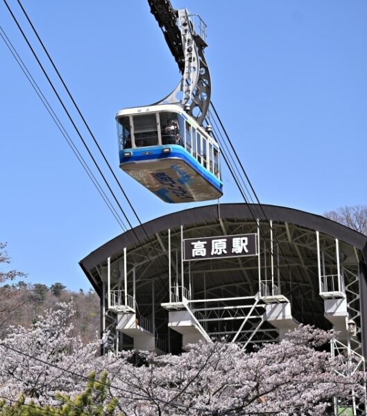 別府ロープウェイのアイキャッチ画像