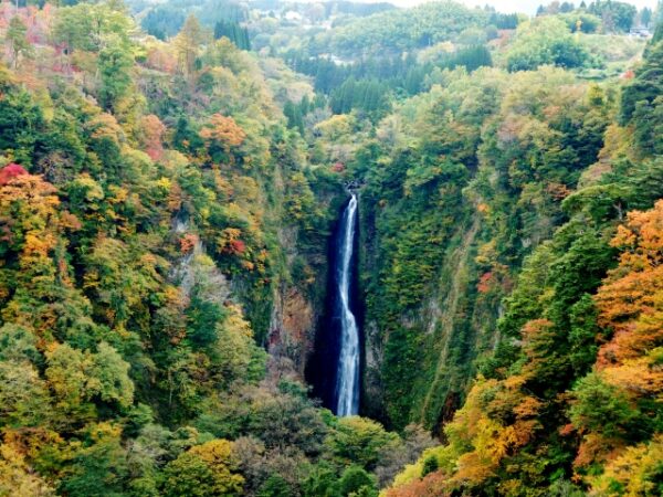 九重夢大吊り橋から見える振動の滝と紅葉風景